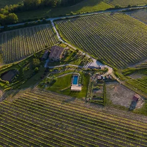 Follonico 4-Suite B&B Landhuis Torrita di Siena